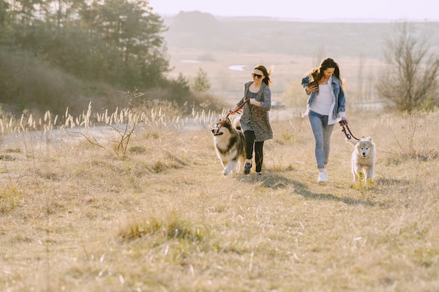 Duas meninas elegantes em um campo ensolarado com cães