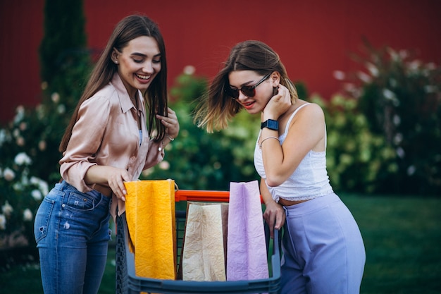 Foto grátis duas mulheres às compras no mercado com carrinho de compras