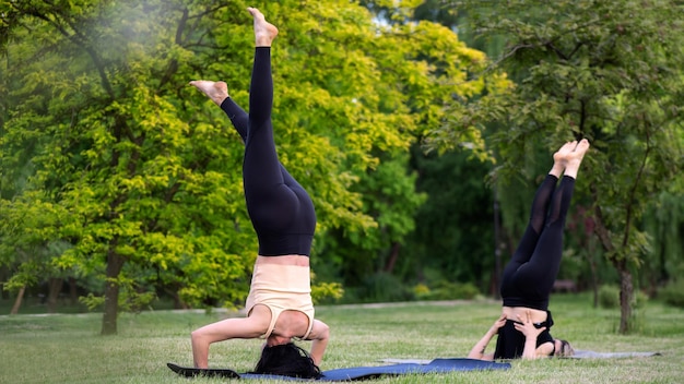 Duas mulheres fazendo ioga na natureza