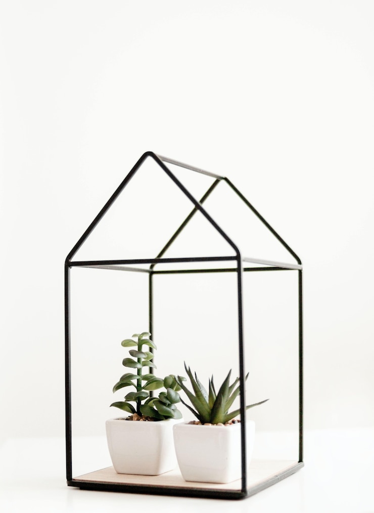 Foto grátis duas plantas de interior com vasos de cerâmica branca em um ornamento em forma de casa isolado em um branco