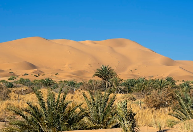 Foto grátis dunas do deserto de merzouga