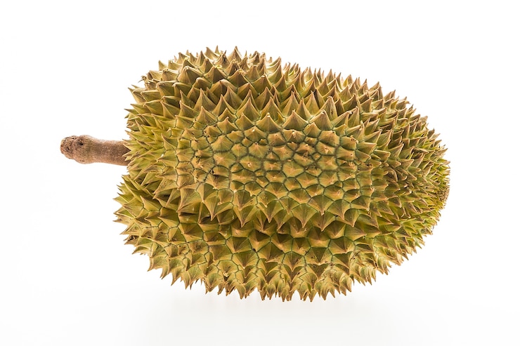 Foto grátis durian inteiro no fundo branco