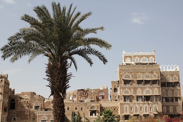 Edifícios cercados por palmeiras sob a luz do sol durante o dia em Sana'a, Iêmen