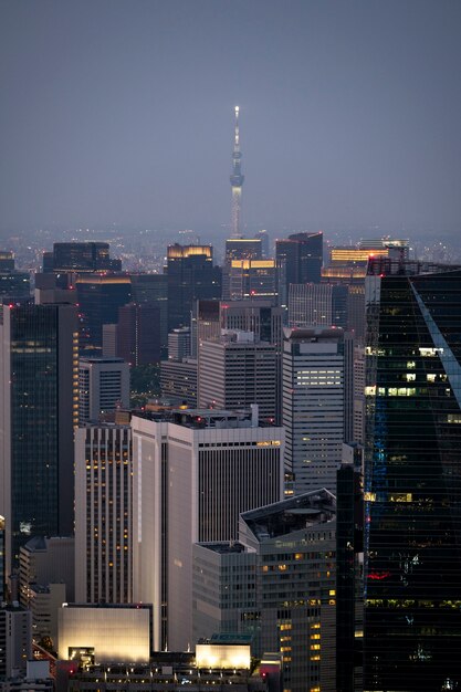 Edifícios da cidade de alto ângulo à noite