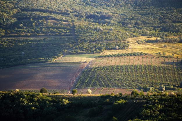 Encosta de colina com árvores em crescimento, estrada de aldeia com um caminhão e floresta na Moldávia