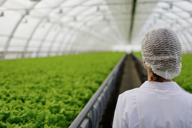 Foto grátis engenheira de biotecnologia examinando planta em busca de doenças