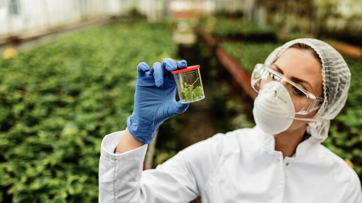 Foto grátis engenheiro agrônomo analisando amostra de planta ao fazer inspeção de controle de qualidade em um viveiro de plantas
