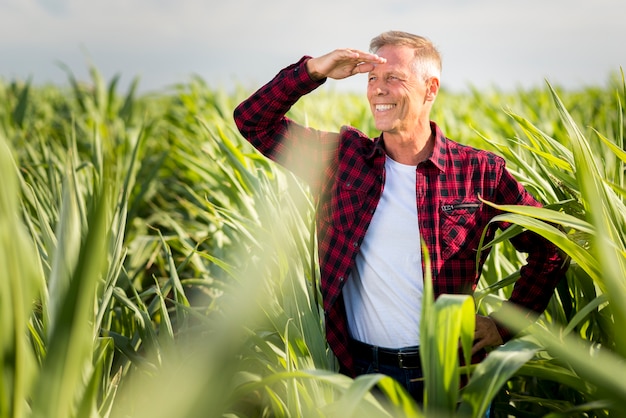 Engenheiro agrônomo sorridente, olhando para longe em um milharal