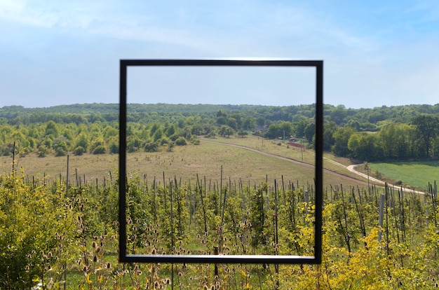 Foto grátis enquadrando a paisagem durante a viagem