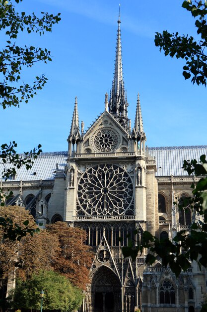 Entrada lateral e janelas rosas distintas da famosa catedral de Notre Dame em Paris