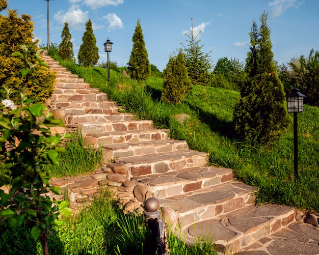 Escadas do parque cheias de vegetação