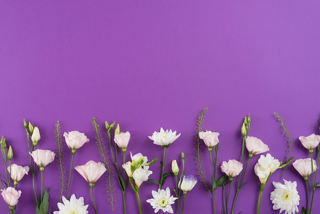 Foto grátis espaço de cópia de fundo de flores