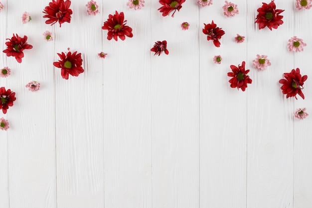 Foto grátis espaço de cópia de fundo de flores