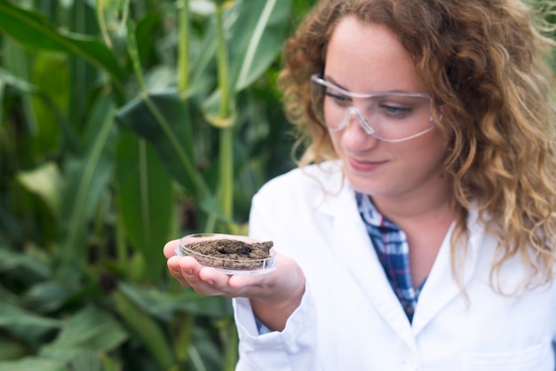 Foto grátis especialista agrônoma examinando amostra de solo para potencial de fertilidade