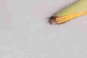 Foto grátis espiga de milho fresco em branco.