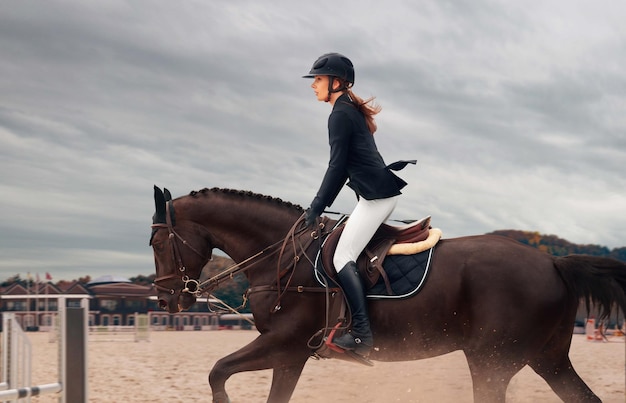 Foto grátis esporte equestre a moça monta a cavalo no campeonato