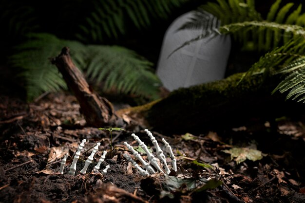 Esqueleto com as mãos no chão em um cemitério