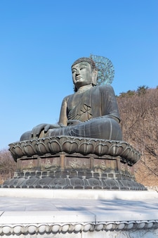 Estátua de buda no templo sinheungsa, parque nacional seoraksan na coreia