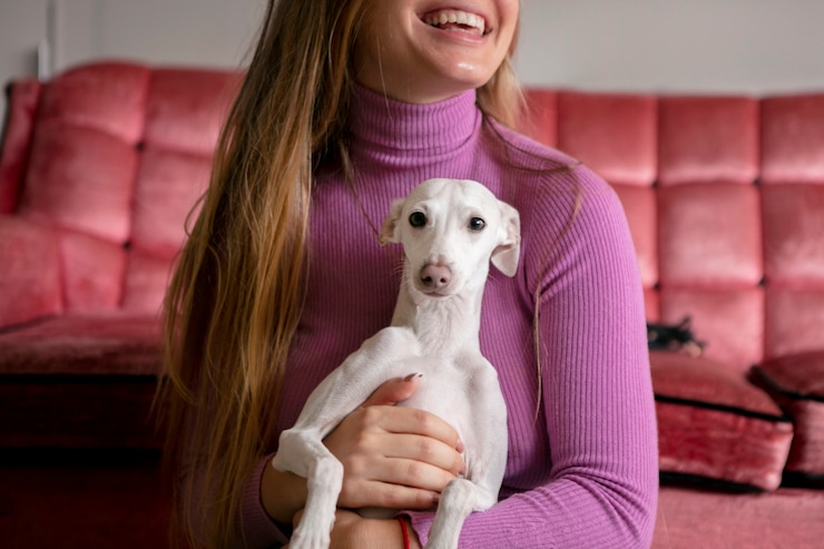 Foto grátis estilo de vida dos animais de estimação