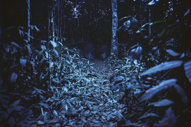 Foto grátis estilo escuro da floresta de aokigahara