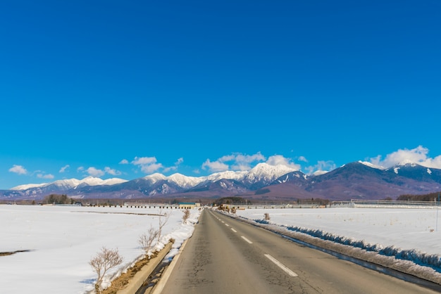 Estrada à montanha de inverno (japão)