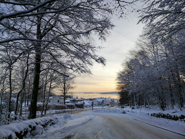 Estrada cercada por árvores e edifícios cobertos de neve durante o pôr do sol em Larvik, na Noruega