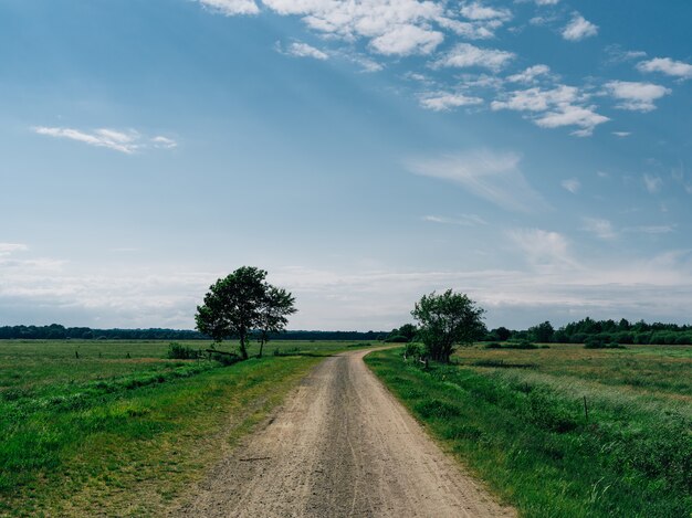 Estrada cercada por um campo coberto de vegetação sob um céu azul em Teufelsmoor