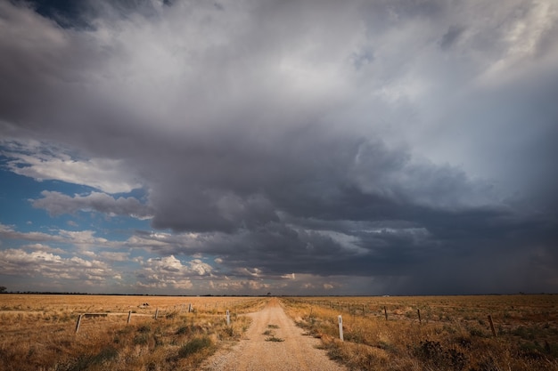 Estrada cercada por um campo coberto de vegetação sob um céu escuro e nublado