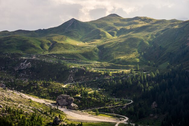 Estrada curvilínea até a montanha cercada por árvores durante o dia