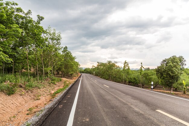 estrada de asfalto na floresta