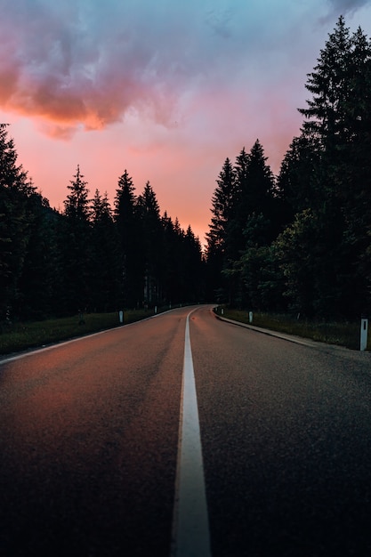 Foto grátis estrada de concreto cinza entre árvores verdes sob céu nublado durante o dia