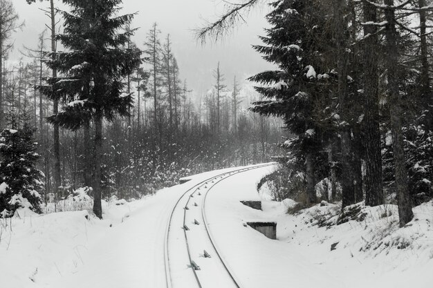 Estrada de ferro na floresta de inverno