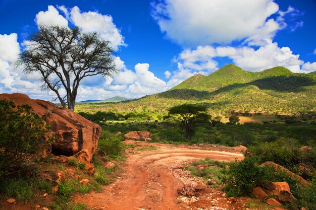 estrada de terra com montanhas verdes