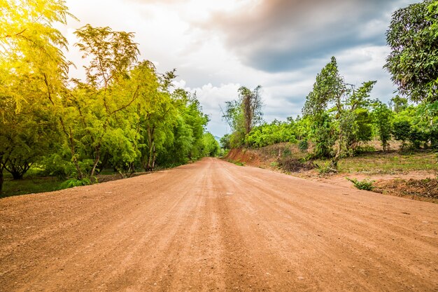 Estrada de terra na floresta