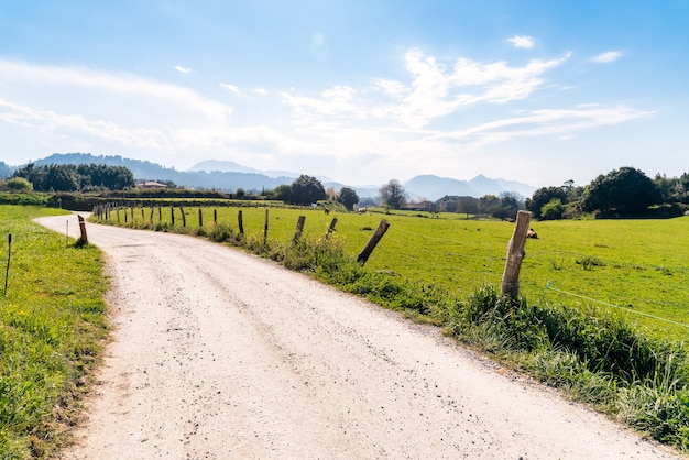 Estrada de terra no meio de um campo gramado sob um céu azul durante o dia