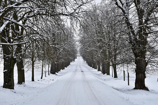 Estrada no inverno Caminho de montanha nevado para um carro Conceito para viajar e dirigir com segurança no inverno de carro