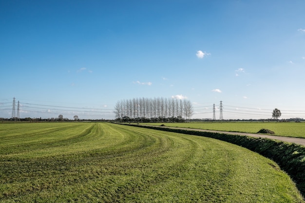 Estrada no meio de um campo gramado com árvores sem folhas à distância sob um céu azul
