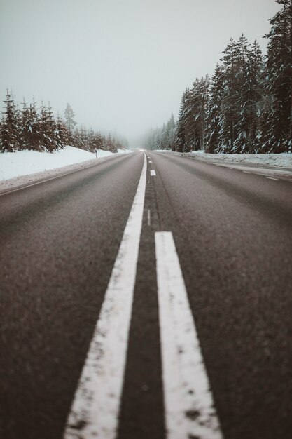 Estrada sem fim rodeada por árvores na neve capturada na Suécia