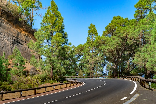 Estrada sinuosa com cerca de madeira em uma floresta de montanha. Floresta verde-clara contra o céu azul.