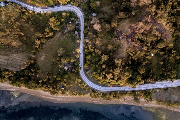 Estrada sinuosa no meio de campos gramados, coberta por árvores perto do mar