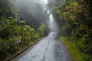 Foto grátis estrada vazia junto com a floresta tropical na costa rica