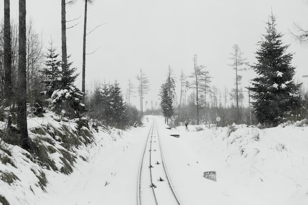 Estradas de ferro e madeiras na neve