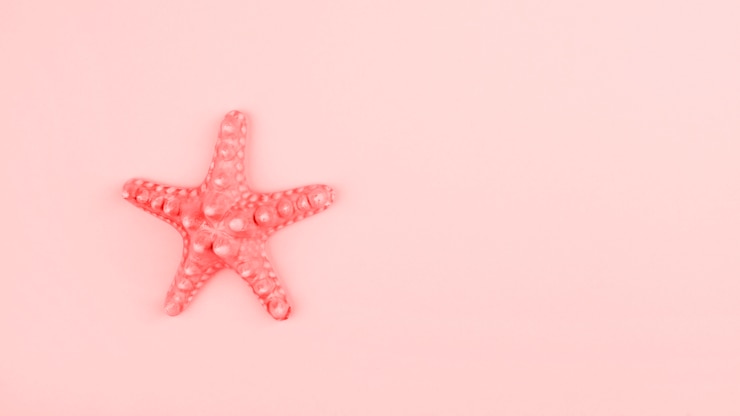 Foto grátis estrela do mar coral pintada no fundo rosa