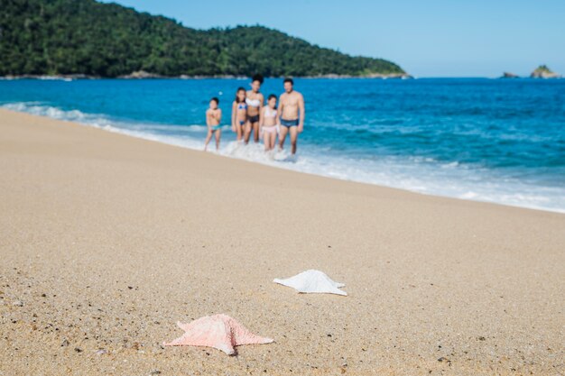 Estrelas de mar na areia com fundo desfocado