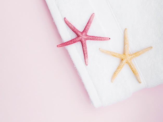 Estrelas do mar plana em cima da toalha