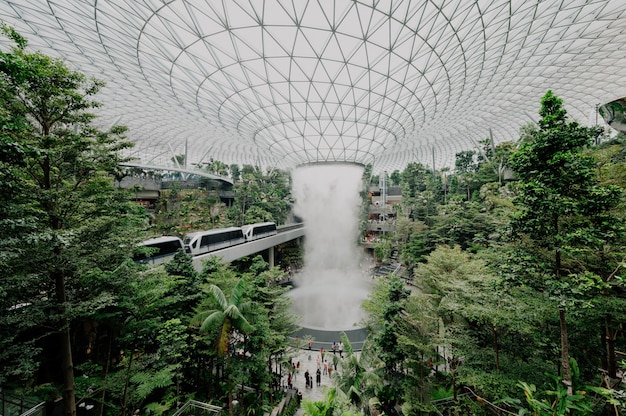 Foto grátis estrutura moderna em um jardim botânico