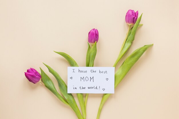 Eu tenho a melhor mãe no mundo inscrição com tulipas