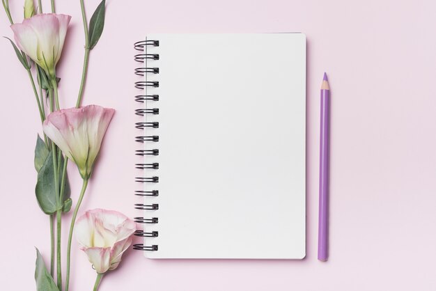 Eustoma flores com caderno espiral em branco com lápis roxo contra fundo rosa