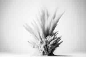 Foto grátis explosão de pó de congelamento cinza monocromática isolada no fundo branco