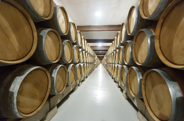 Foto grátis fábrica de vinícolas